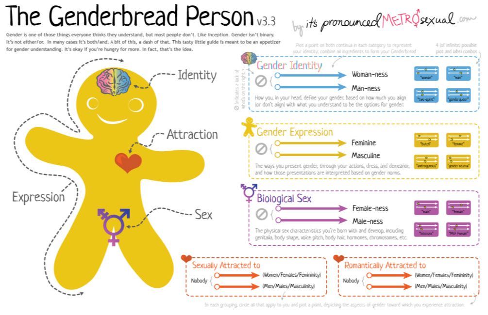<p>The Genderbread Person</p>
