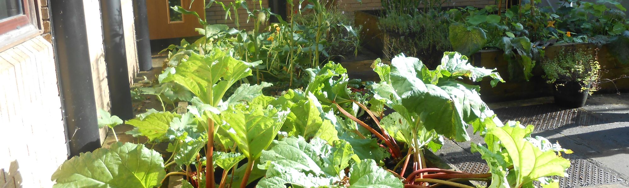 Meet Governors Header