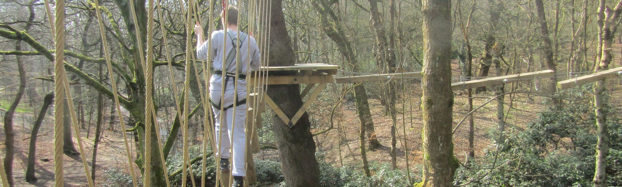 Anti-Bullying Header